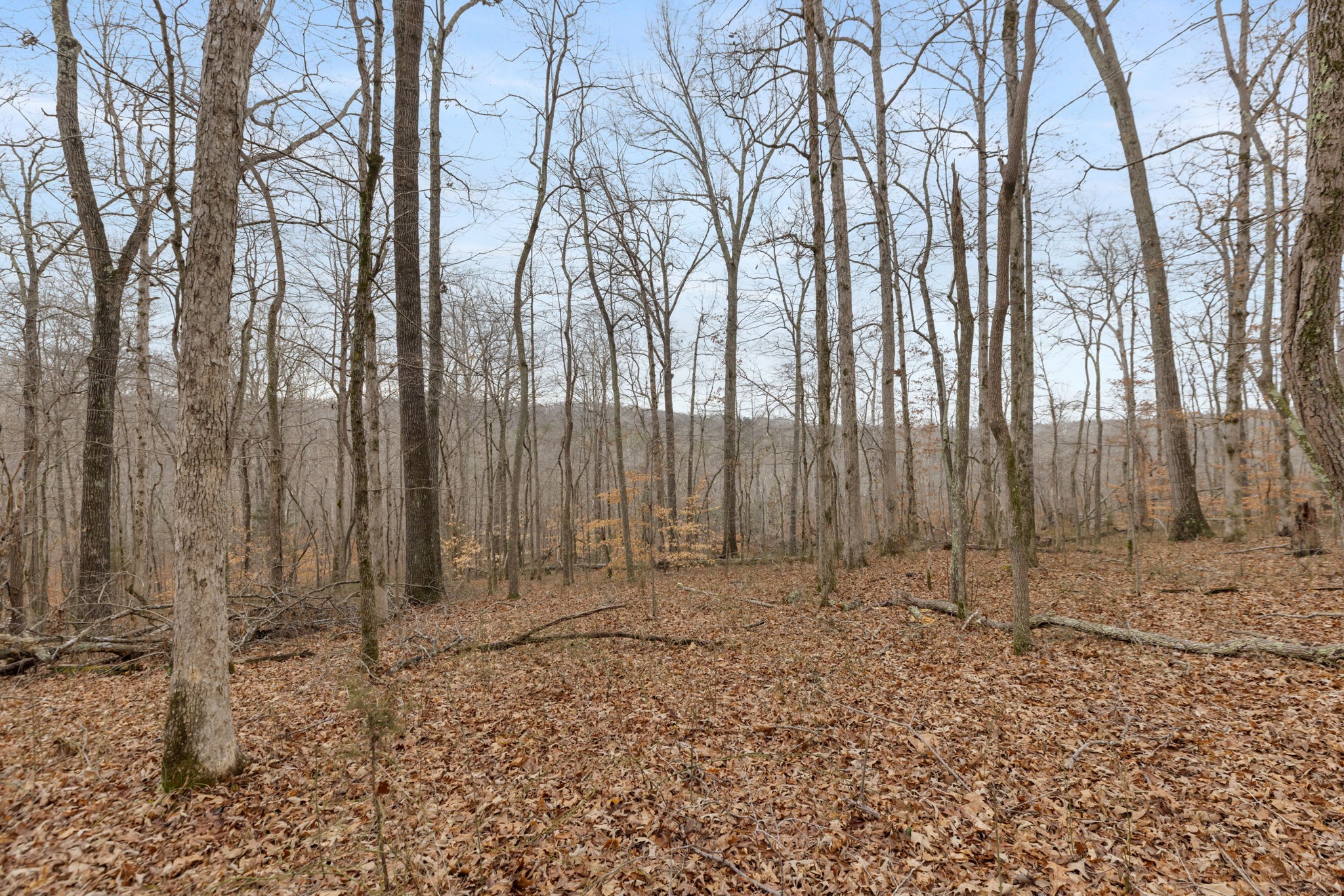 0 Griffintown Road White Bluff TN 37187