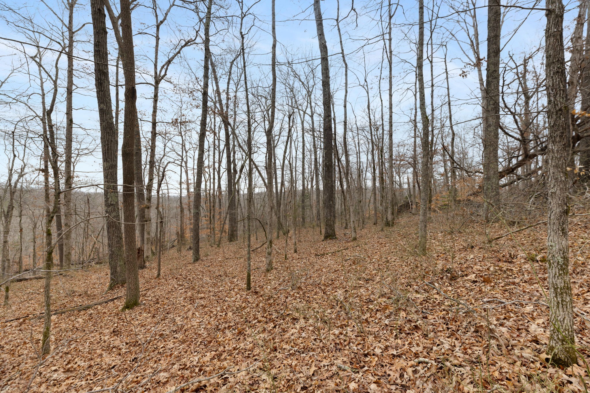 0 Griffintown Road White Bluff TN 37187
