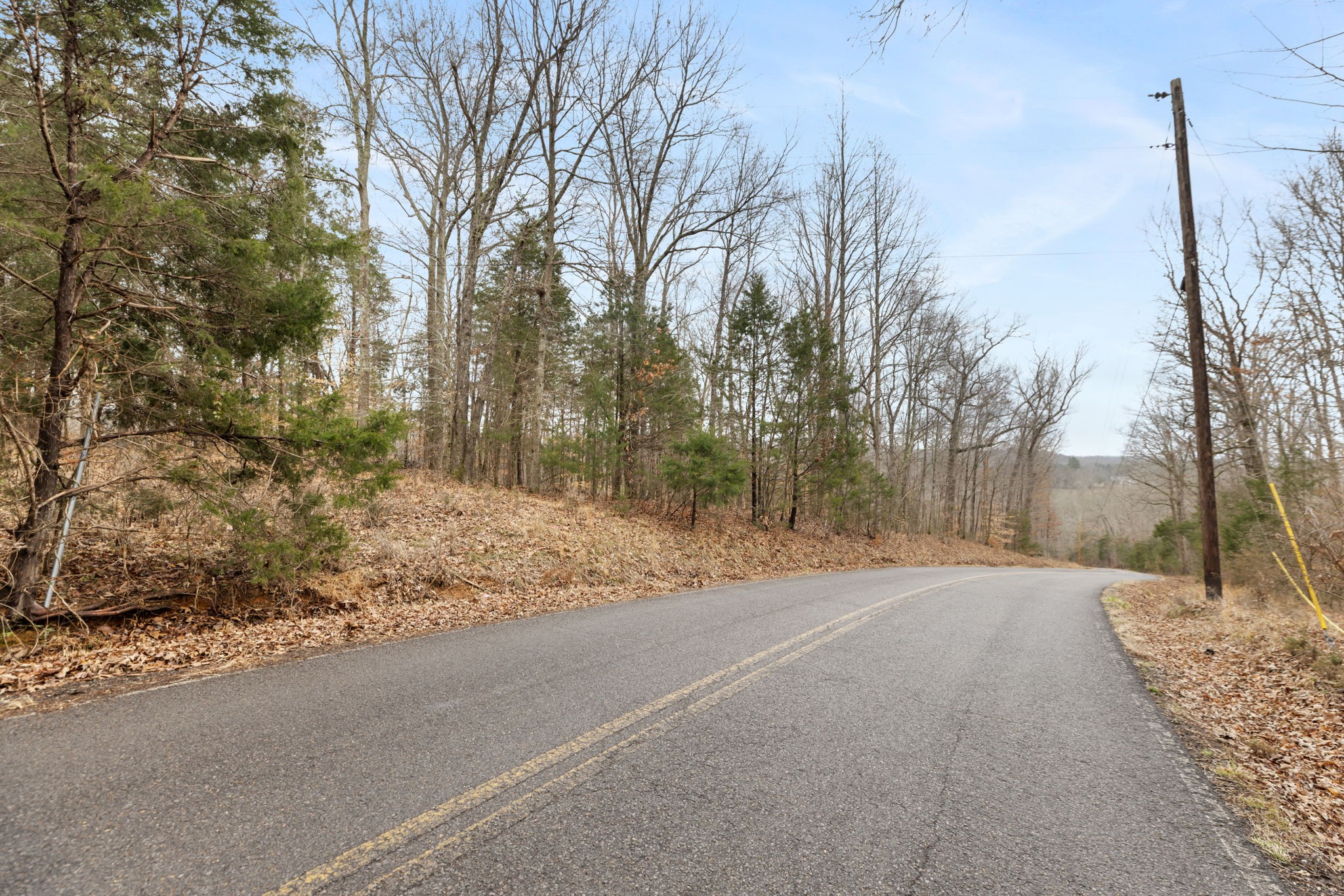 0 Griffintown Road White Bluff TN 37187
