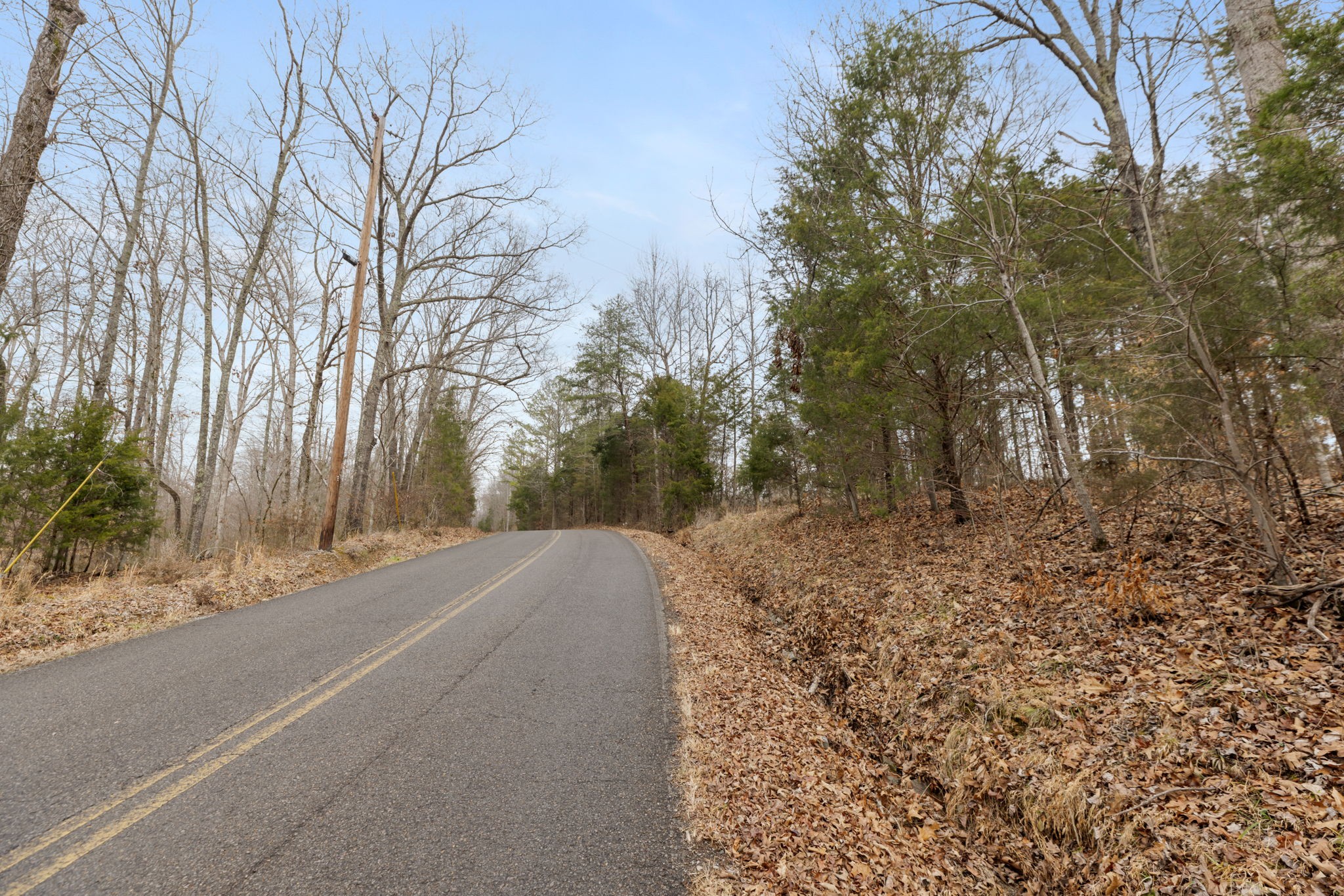 0 Griffintown Road White Bluff TN 37187