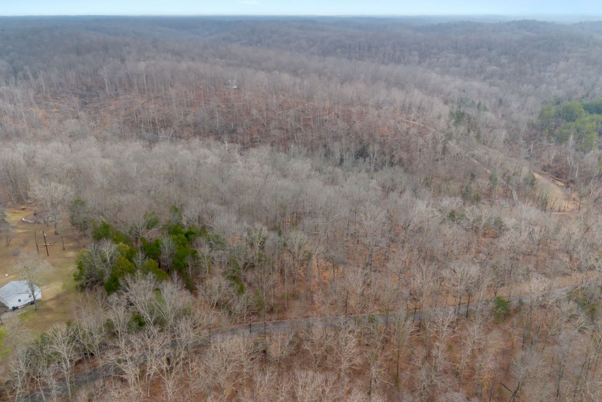 0 Griffintown Road White Bluff TN 37187