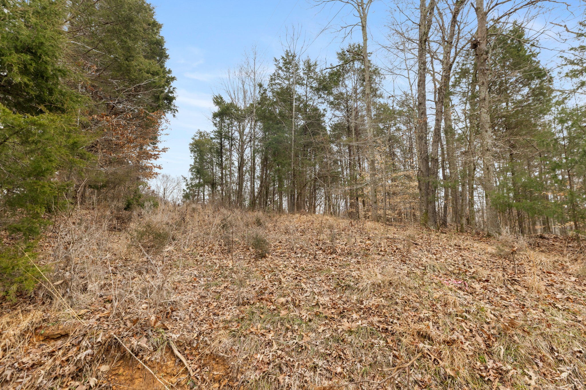 0 Griffintown Road White Bluff TN 37187