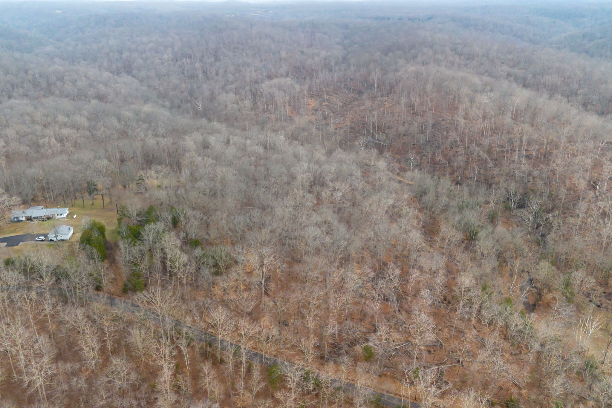 0 Griffintown Road White Bluff TN 37187