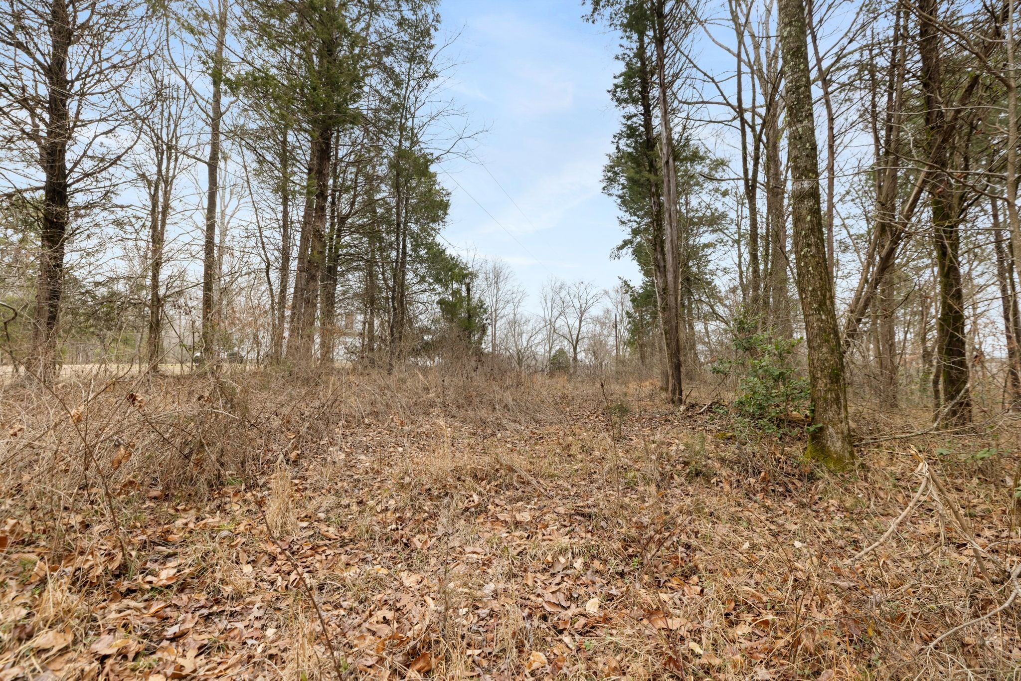 0 Griffintown Road White Bluff TN 37187