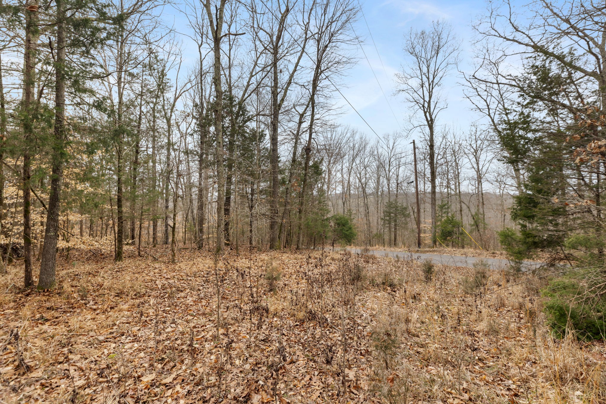 0 Griffintown Road White Bluff TN 37187