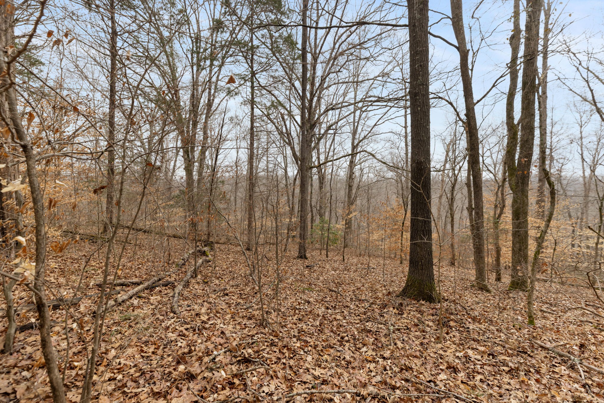 0 Griffintown Road White Bluff TN 37187