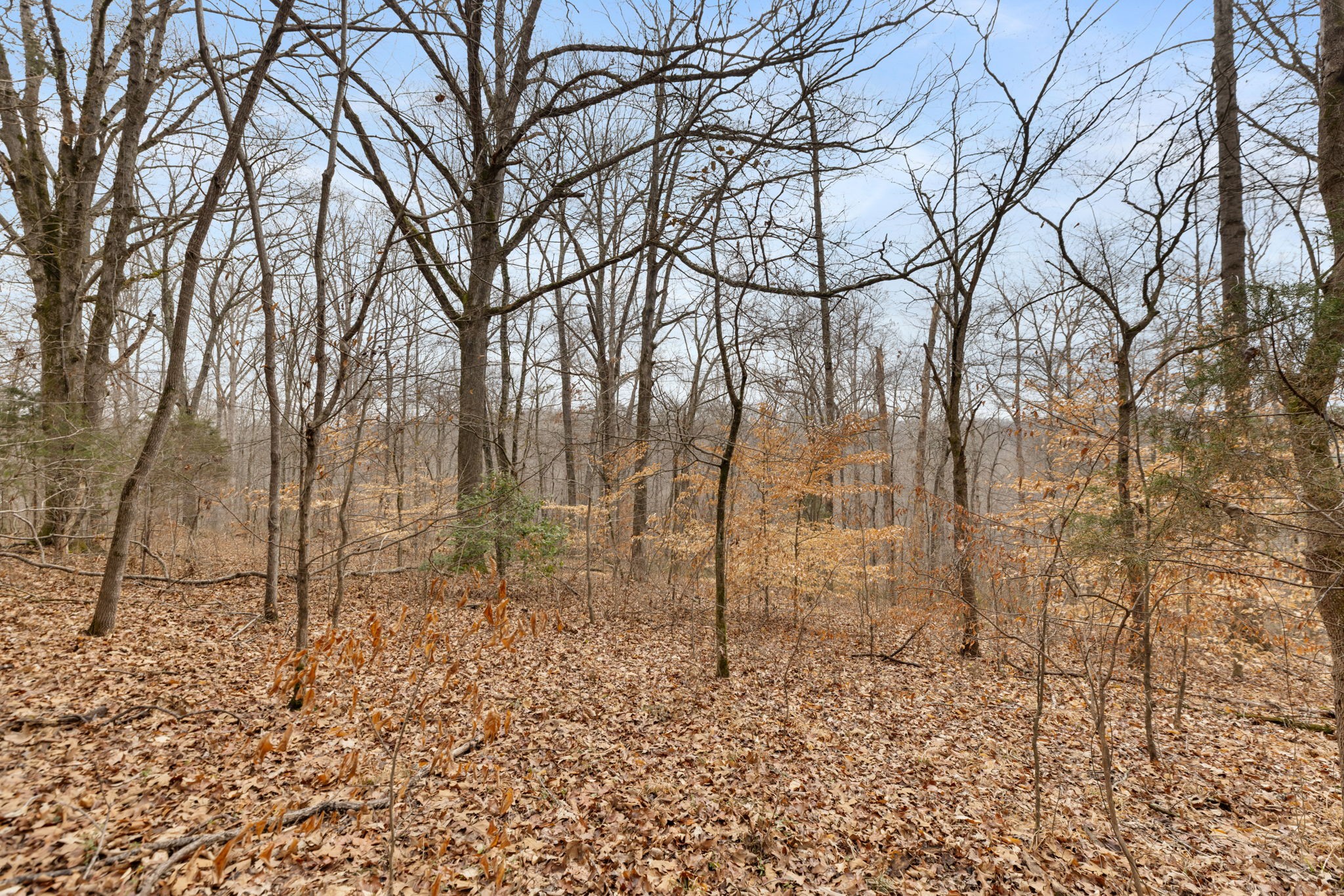 0 Griffintown Road White Bluff TN 37187