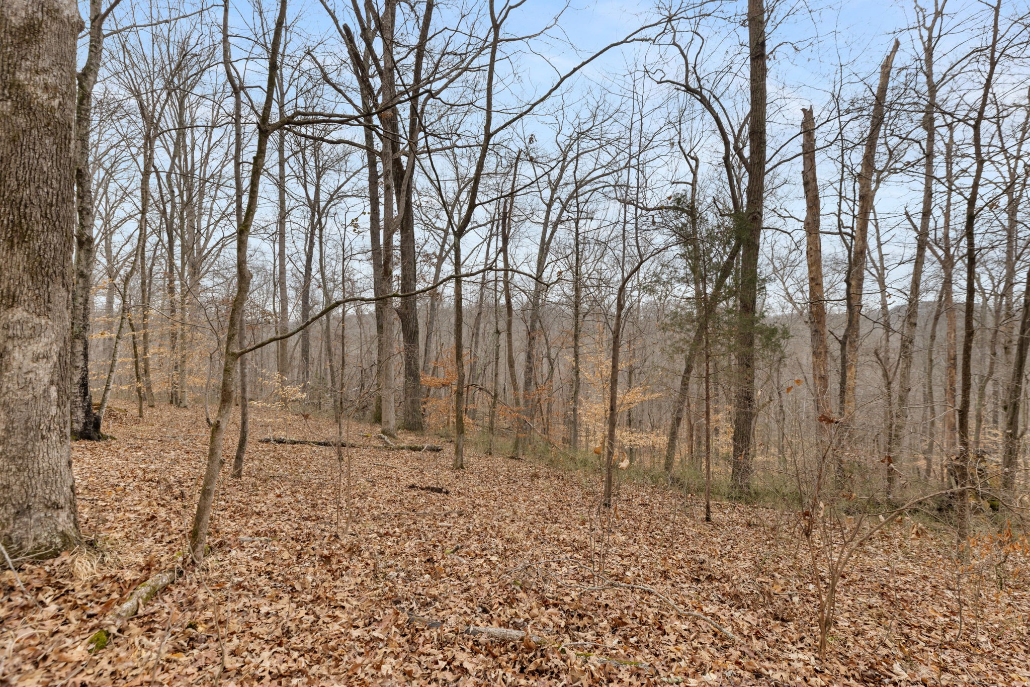 0 Griffintown Road White Bluff TN 37187