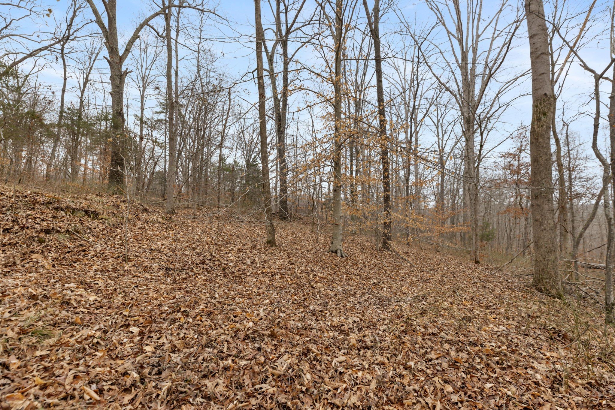 0 Griffintown Road White Bluff TN 37187