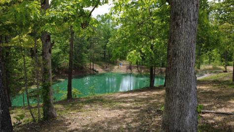 7948 Daugherty Capley Road Primm Springs TN 38476