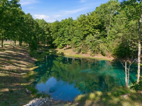 7948 Daugherty Capley Road Primm Springs TN 38476