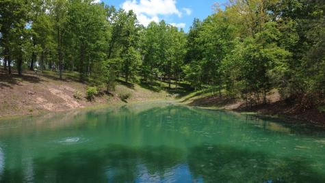 7948 Daugherty Capley Road Primm Springs TN 38476