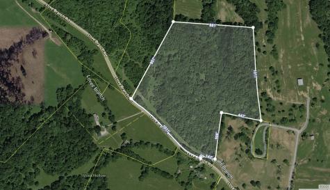0 Love Branch Road Hampshire TN 38461