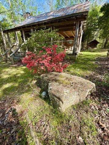 562 Junus Jackson Hollow Road Minor Hill TN 38473
