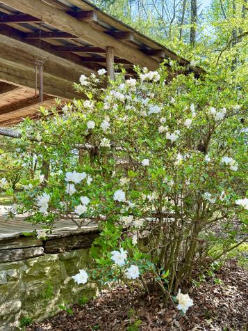 562 Junus Jackson Hollow Road Minor Hill TN 38473