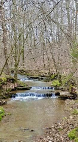 562 Junus Jackson Hollow Road Minor Hill TN 38473