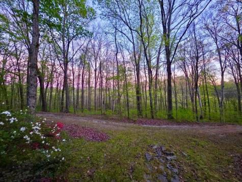 562 Junus Jackson Hollow Road Minor Hill TN 38473