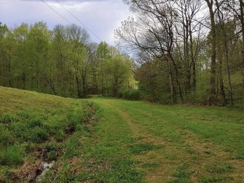 562 Junus Jackson Hollow Road Minor Hill TN 38473