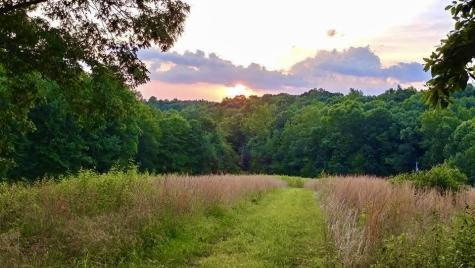 562 Junus Jackson Hollow Road Minor Hill TN 38473