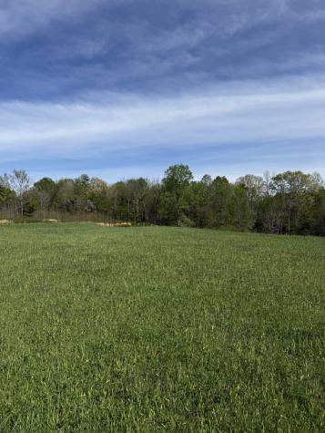562 Junus Jackson Hollow Road Minor Hill TN 38473