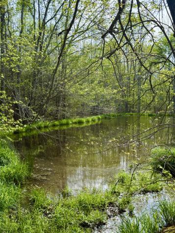 562 Junus Jackson Hollow Road Minor Hill TN 38473