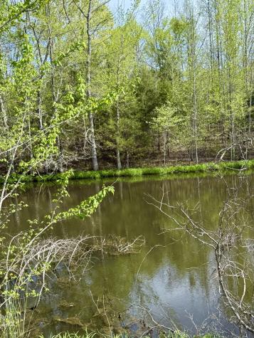 562 Junus Jackson Hollow Road Minor Hill TN 38473