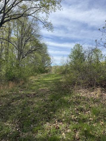 562 Junus Jackson Hollow Road Minor Hill TN 38473