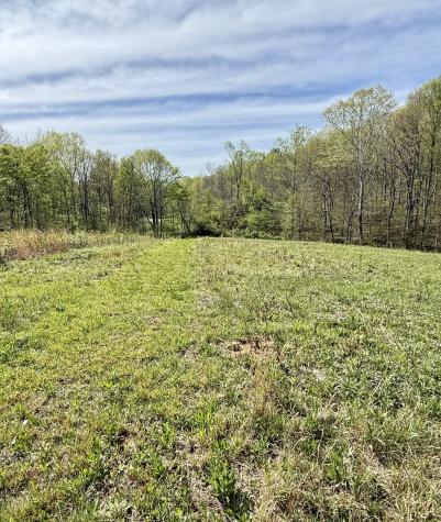 562 Junus Jackson Hollow Road Minor Hill TN 38473