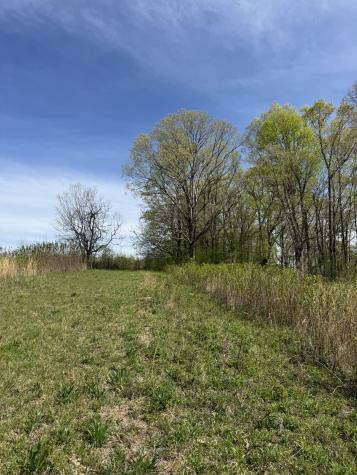 562 Junus Jackson Hollow Road Minor Hill TN 38473
