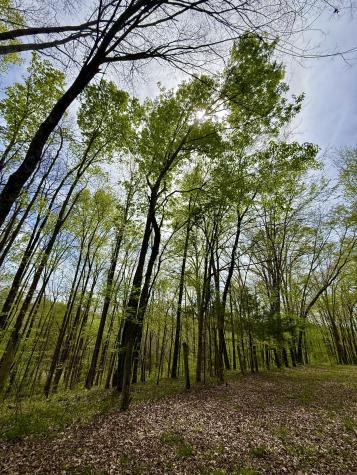 562 Junus Jackson Hollow Road Minor Hill TN 38473