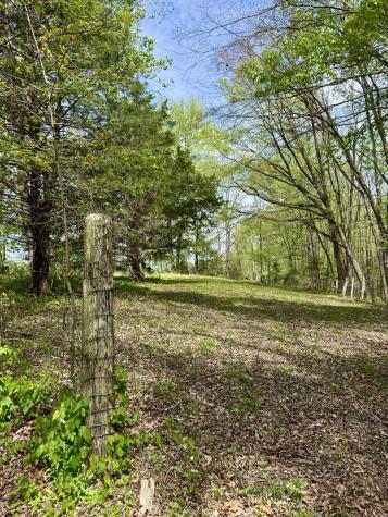 562 Junus Jackson Hollow Road Minor Hill TN 38473