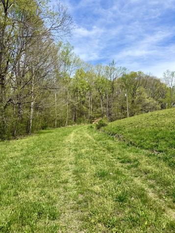 562 Junus Jackson Hollow Road Minor Hill TN 38473