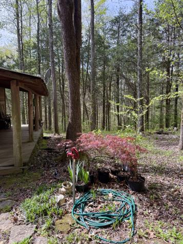 562 Junus Jackson Hollow Road Minor Hill TN 38473