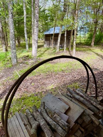 562 Junus Jackson Hollow Road Minor Hill TN 38473