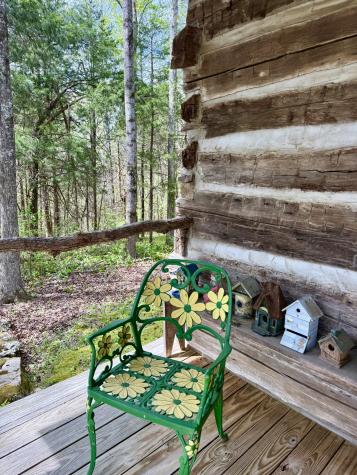 562 Junus Jackson Hollow Road Minor Hill TN 38473