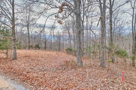 0 Rbk Lane Bethpage TN 37022