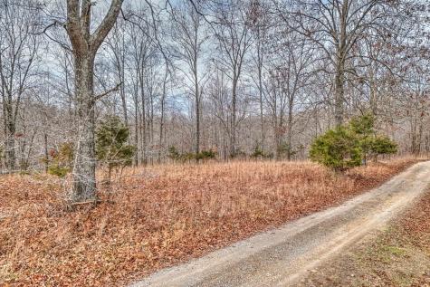 0 Rbk Lane Bethpage TN 37022