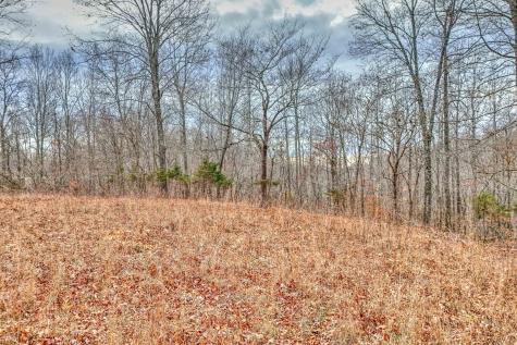 0 Rbk Lane Bethpage TN 37022