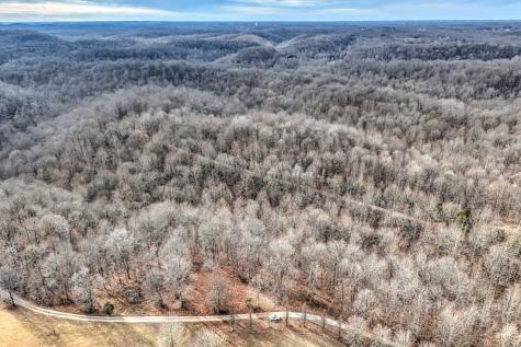 0 Rbk Lane Bethpage TN 37022
