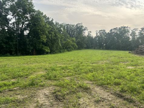 0 Annie Hollow Road Westmoreland TN 37186