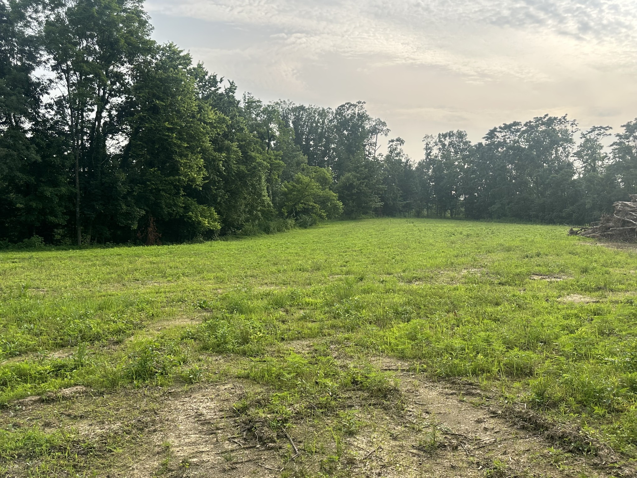 0 Annie Hollow Road Westmoreland TN 37186