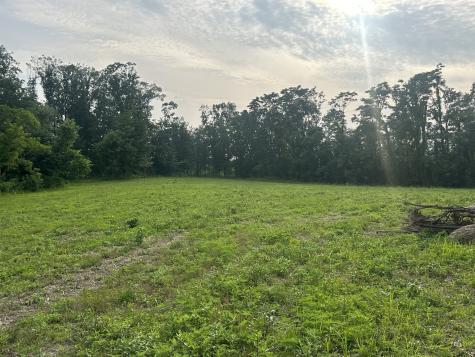 0 Annie Hollow Road Westmoreland TN 37186