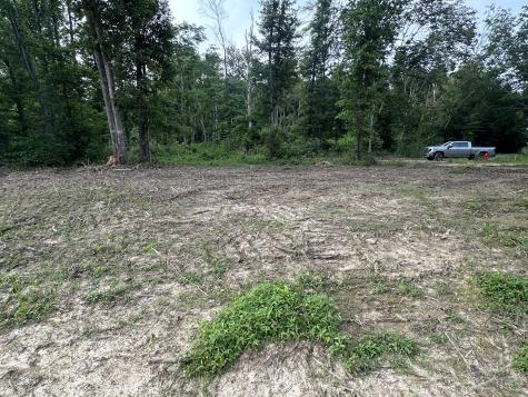 0 Annie Hollow Road Westmoreland TN 37186