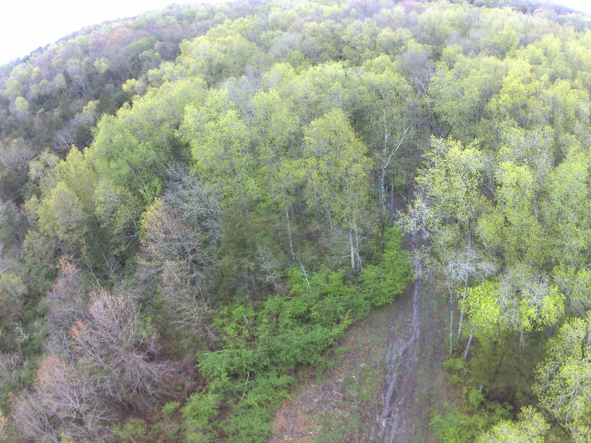 0 Highway 64 Arnold Road, E Wartrace TN 37183
