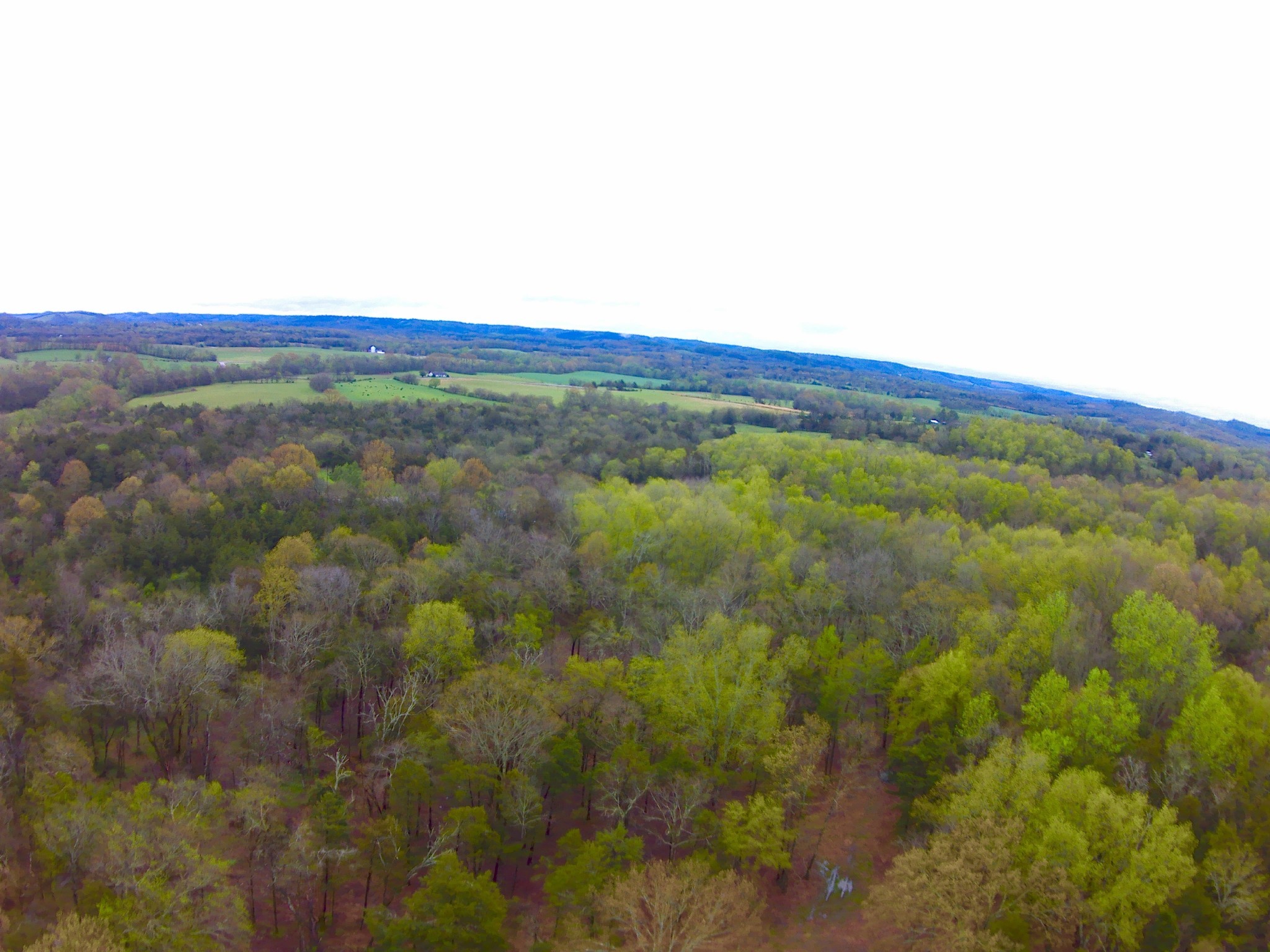 0 Highway 64 Arnold Road, E Wartrace TN 37183