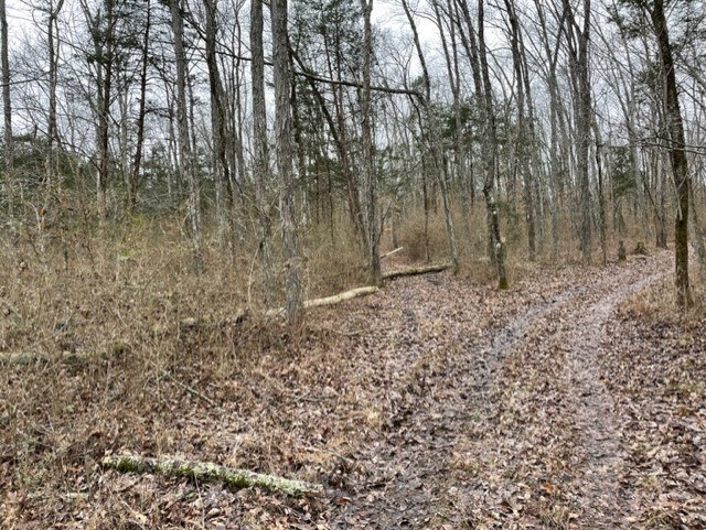 0 Highway 64 Arnold Road, E Wartrace TN 37183
