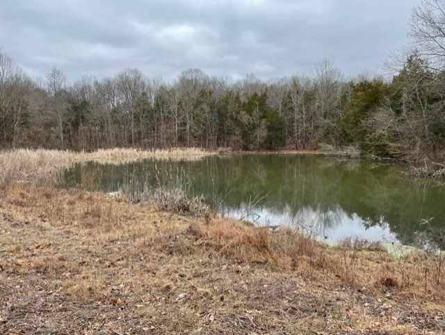 0 Highway 64 Arnold Road, E Wartrace TN 37183
