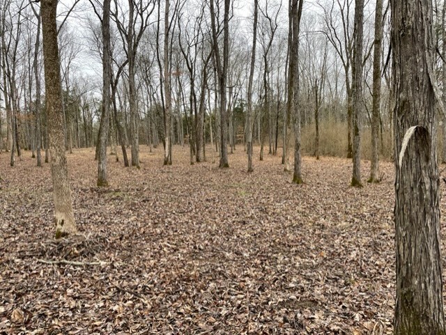 0 Highway 64 Arnold Road, E Wartrace TN 37183