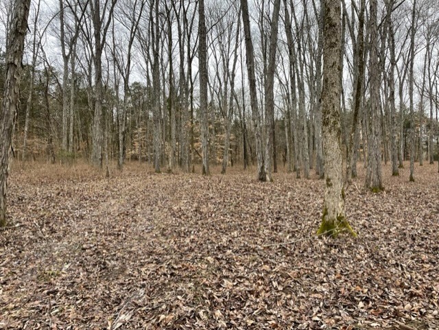 0 Highway 64 Arnold Road, E Wartrace TN 37183