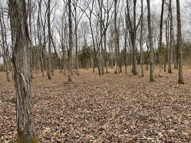 0 Highway 64 Arnold Road, E Wartrace TN 37183
